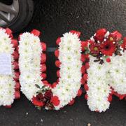 RED AND WHITE